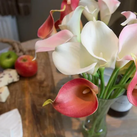 펜션 1 Bed In G0050