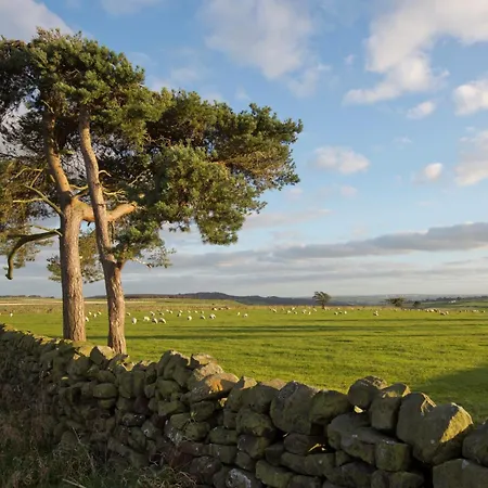 1 Bed In G0050 펜션 페이틀리브리지